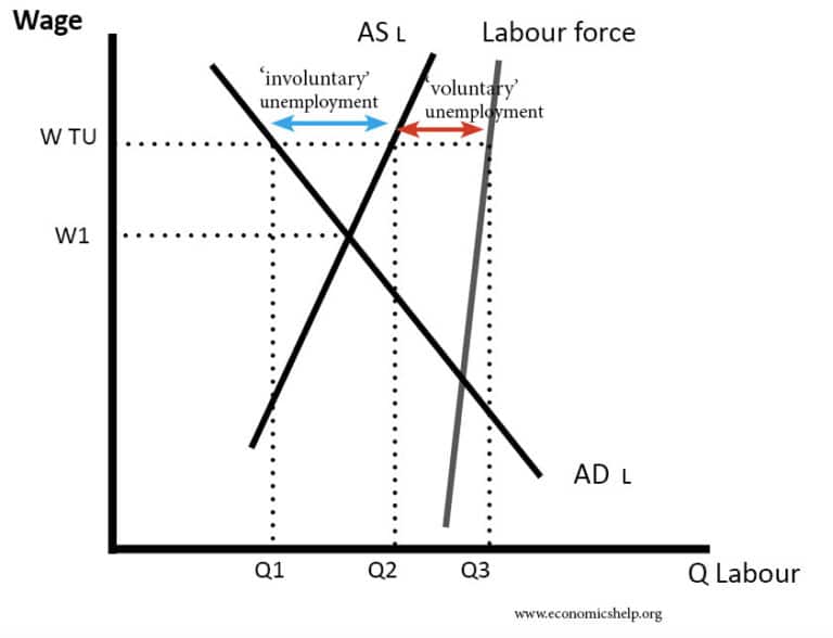 voluntary-vs-involuntary-muscle-difference-and-comparison